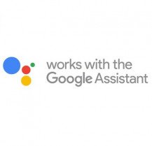 Google Assistant